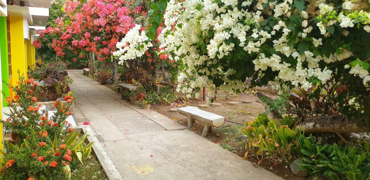 Bed and Breakfast Balai Felicisima Puerto Princesa Екстер'єр фото